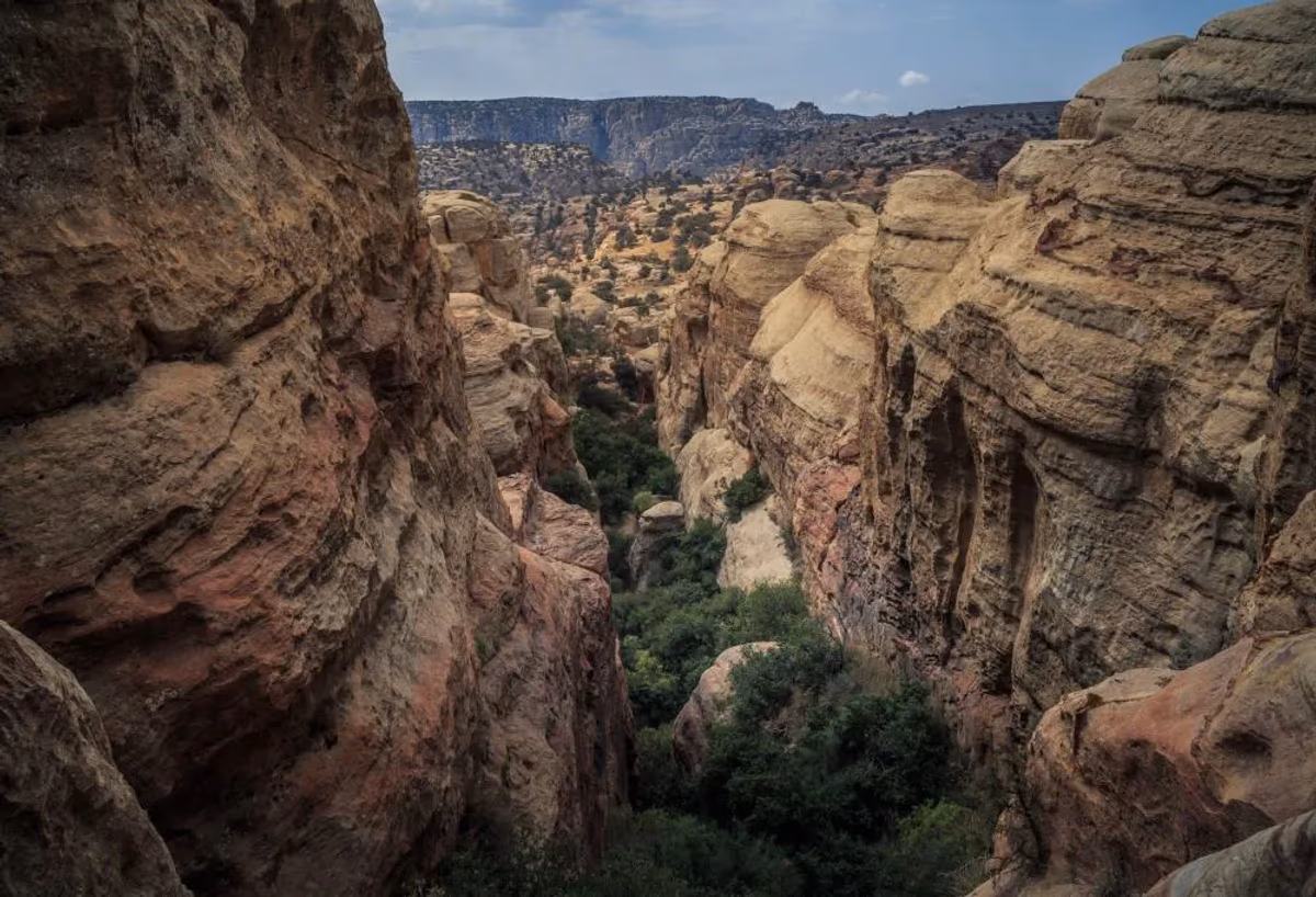 Avontuurlijk Jordanië Deluxe – vakantie, Jordanië