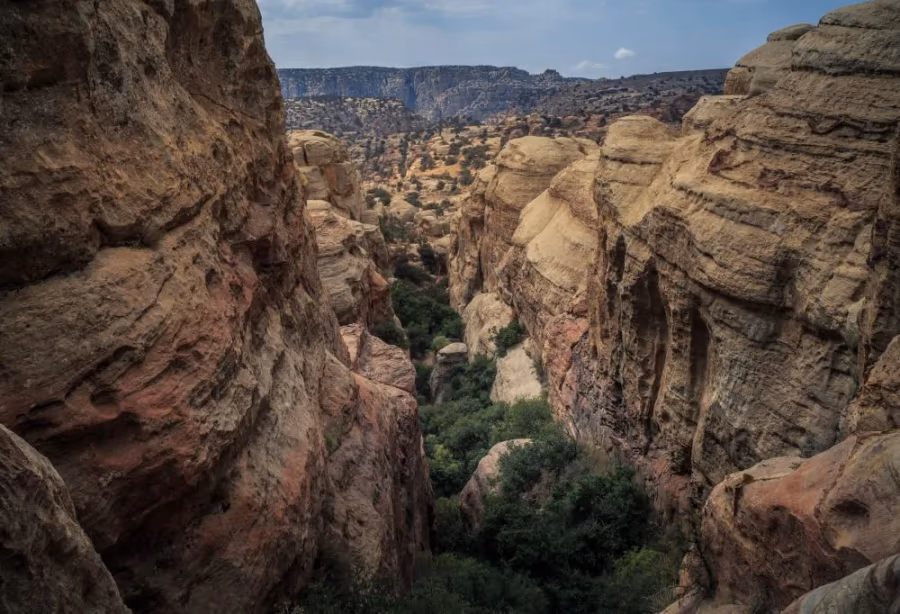 Avontuurlijk Jordanië Deluxe – Jordanië