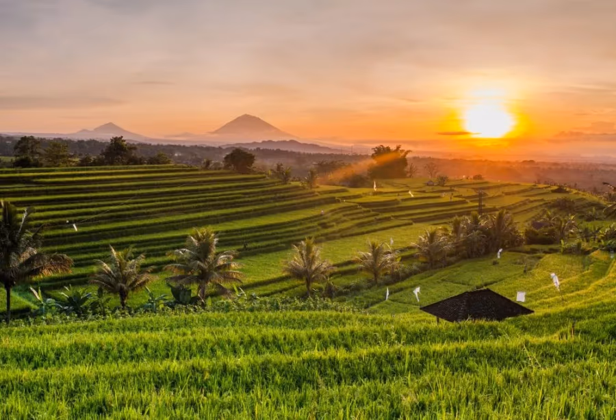 Bali - Gili Explorer – Indonesië