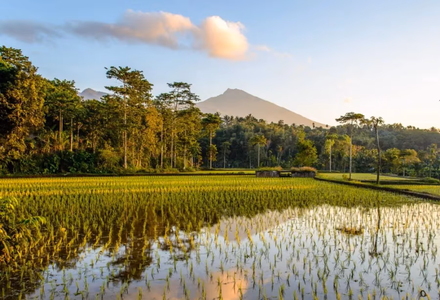 Bali en Lombok – Indonesië