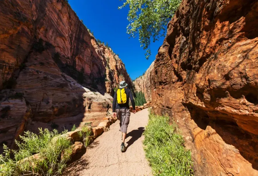Best Deal Highlights of the Wild West – Amerika – foto 1
