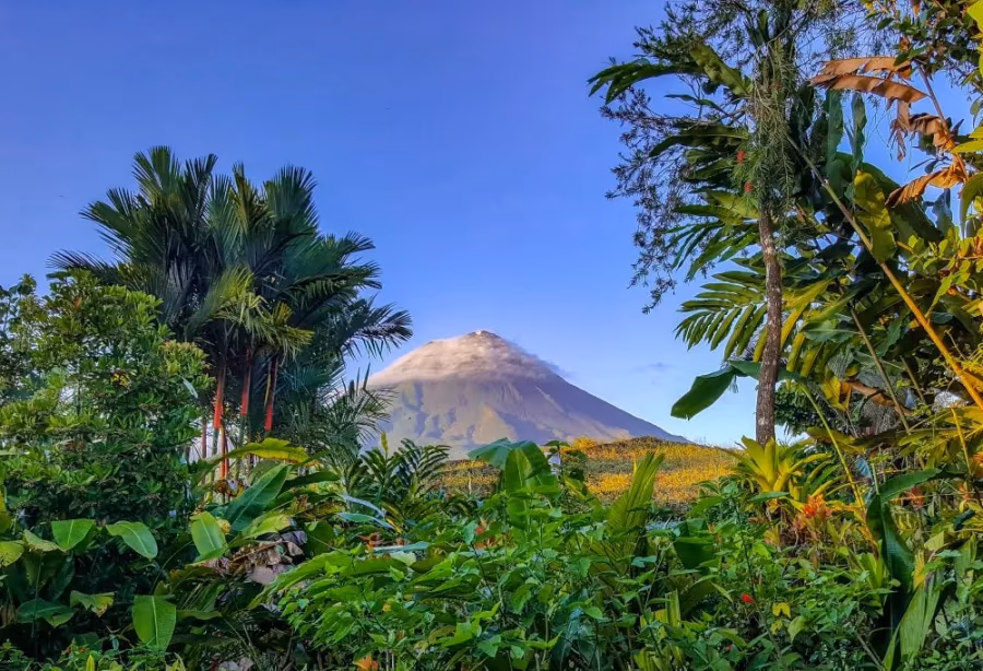 Best Deal Costa Rica Nevelwouden en Vulkanen – Costa Rica