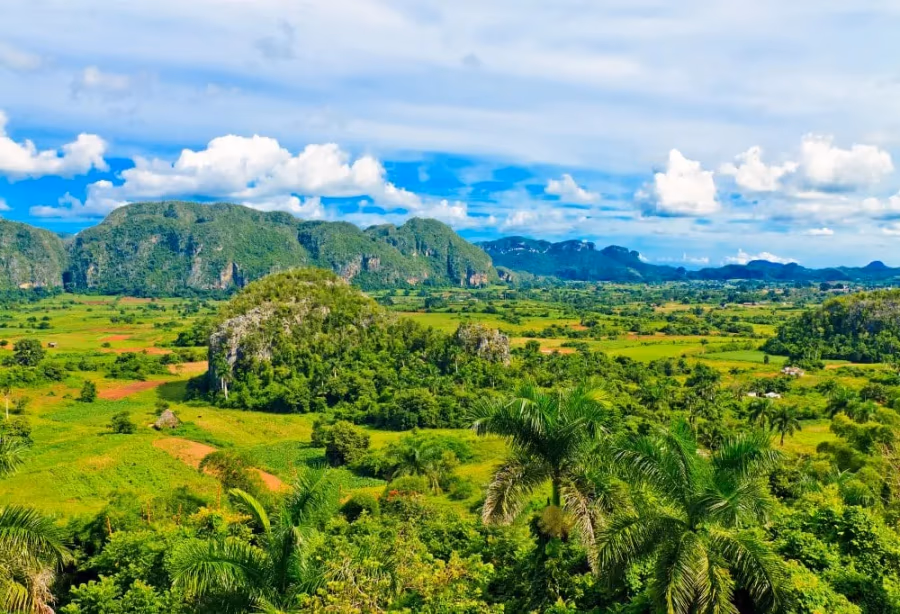 Best Deal Cuba con Carro – Cuba