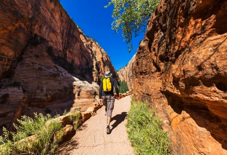Best Deal Highlights of the Wild West – Amerika