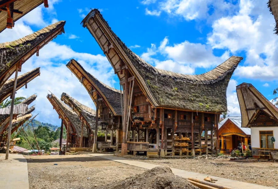 Best Deal Sulawesi & Bali – Indonesië
