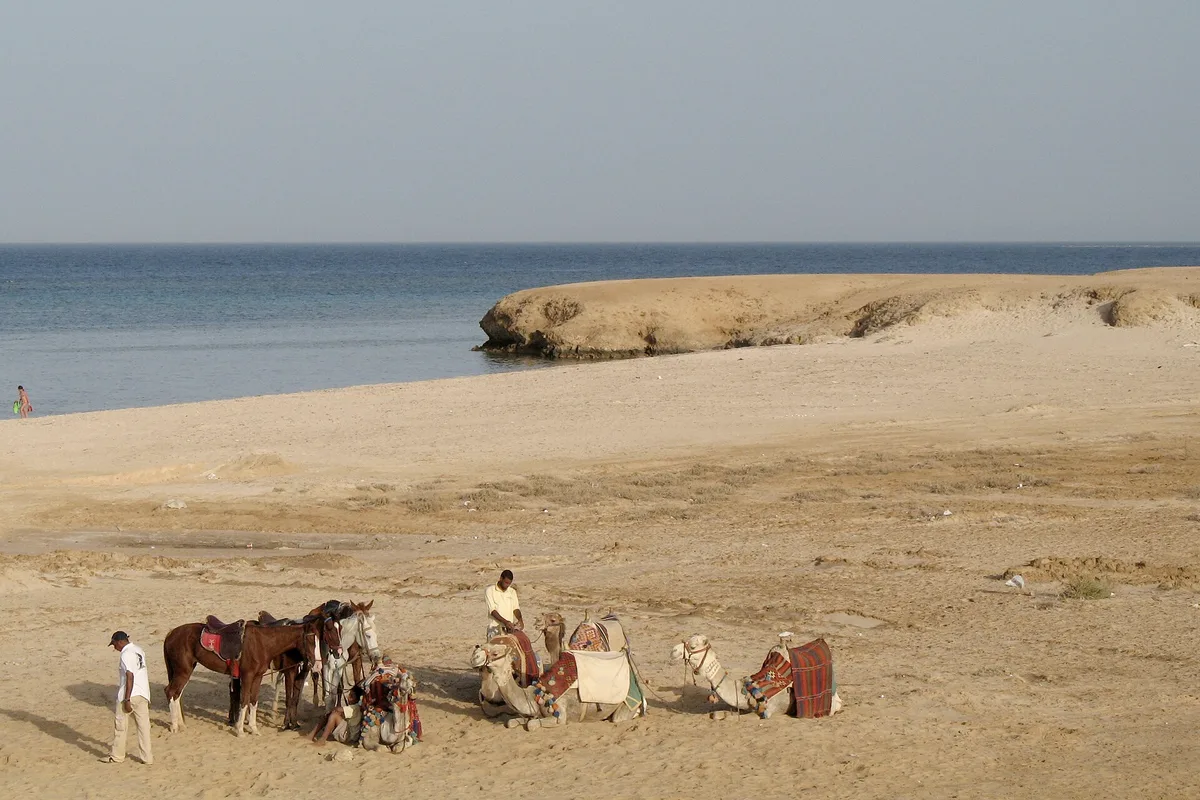 Marsa Alam R02 – Marsa Alam