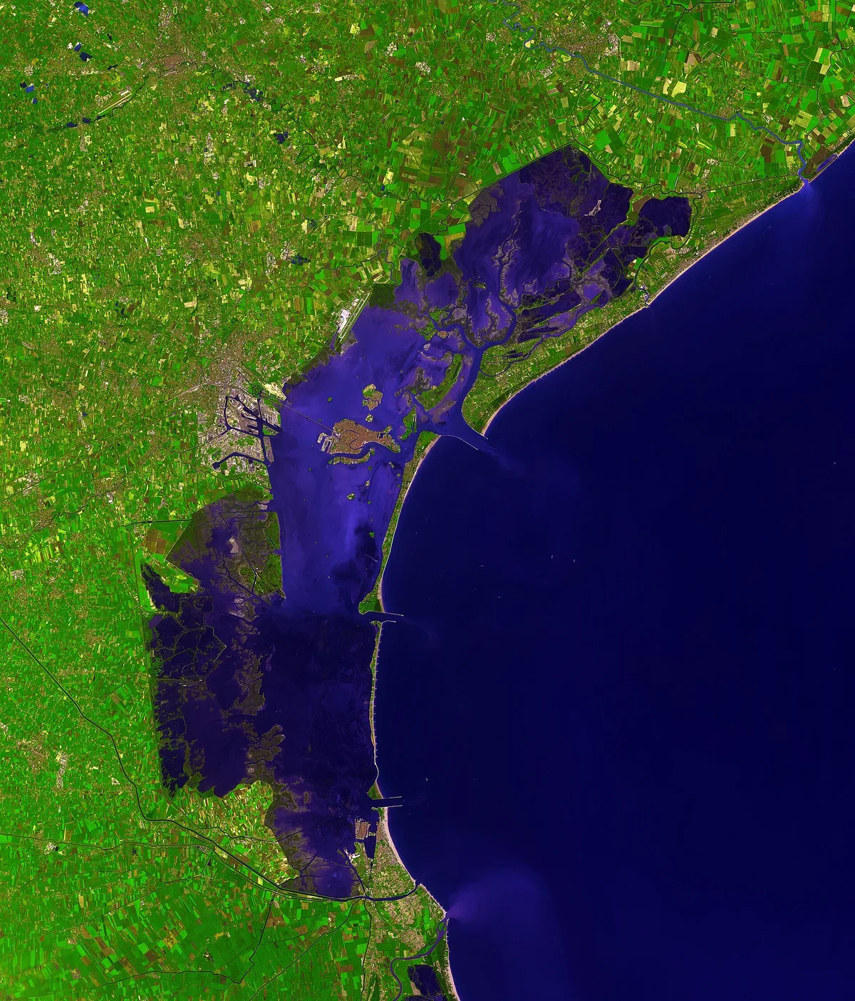 Venice Lagoon December 9 2001 – Japan
