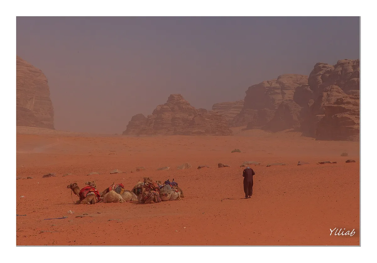 Desert de Wadi Rum Jordanie (52957478685) – Jordanië landscape