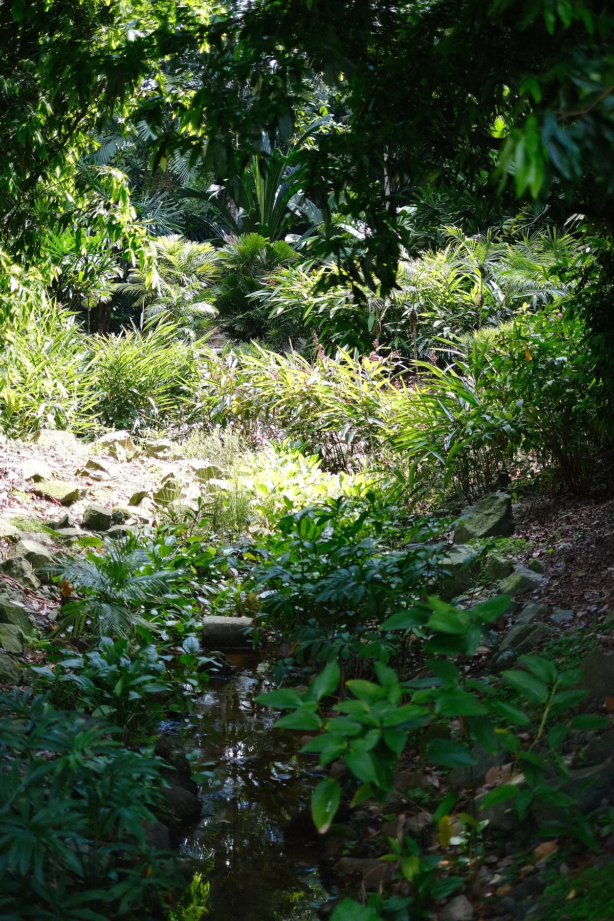 Singapore Botanical Gardens – Singapore