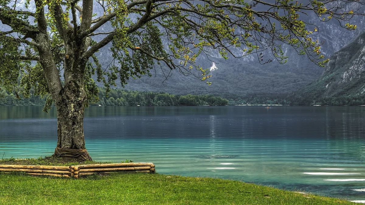 Lago Bohinj (11208617155) – Meer van Bohinj