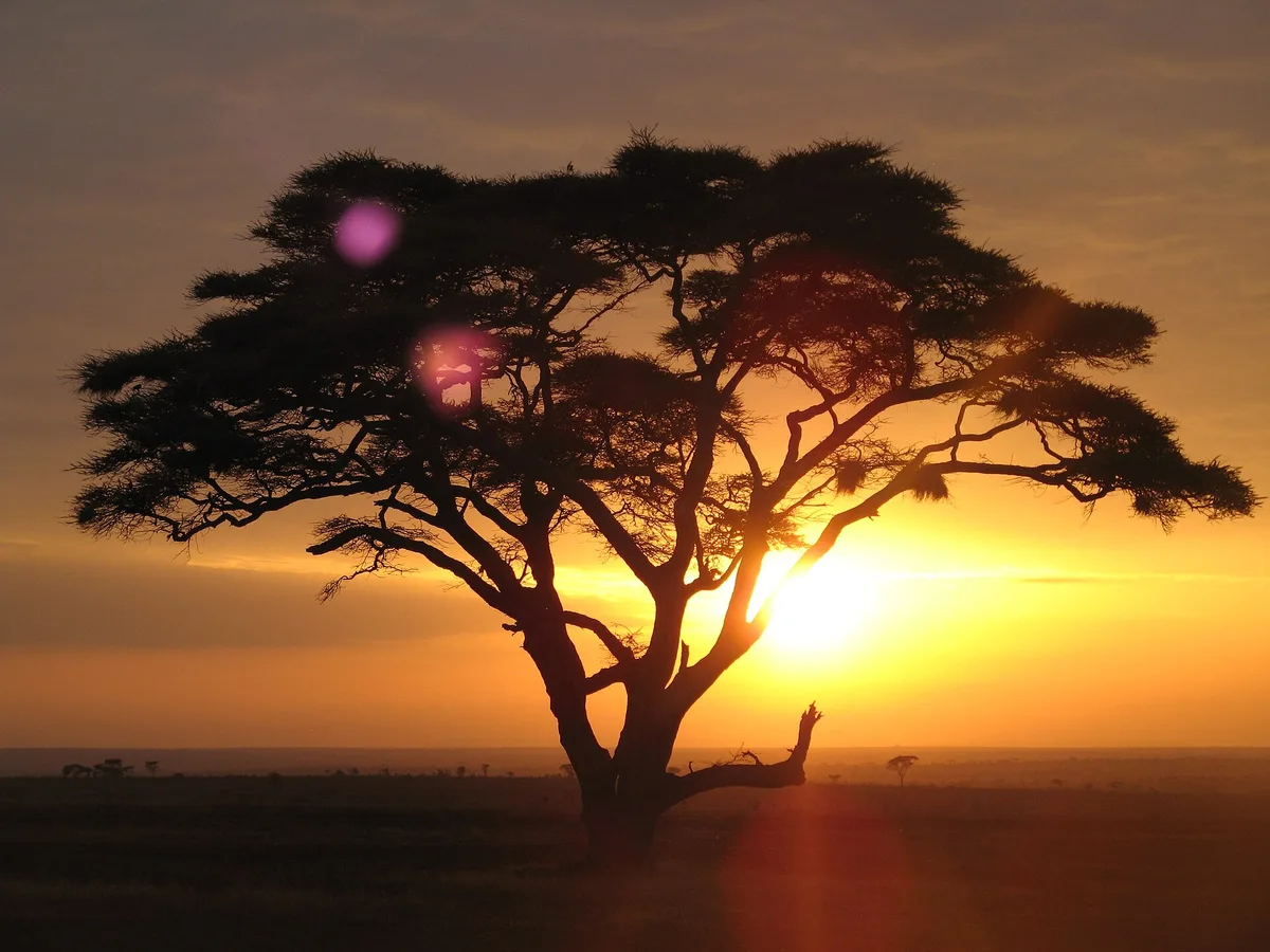 Sfeerbeeld van Tanzania