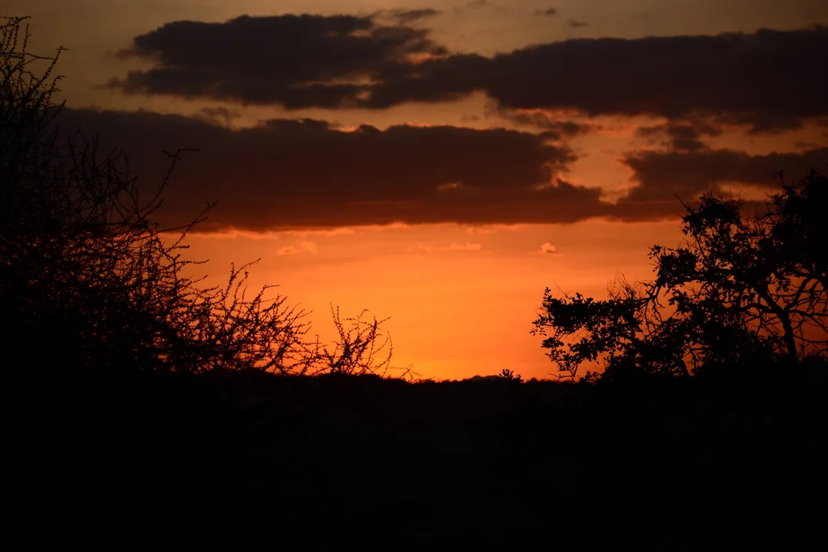 Tanzania Safari (15064094154) – Tanzania