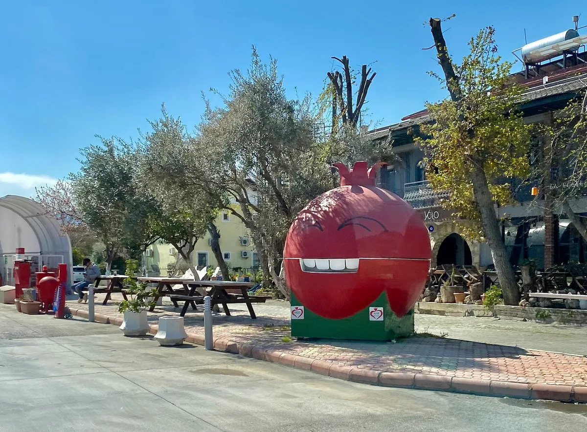 Dalyan, Turkey March 2022 - Happy Pomegranate – Dalyan
