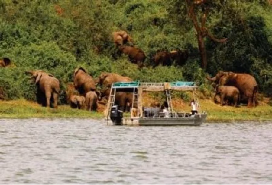 Boottocht op Lake Mburo – Uganda