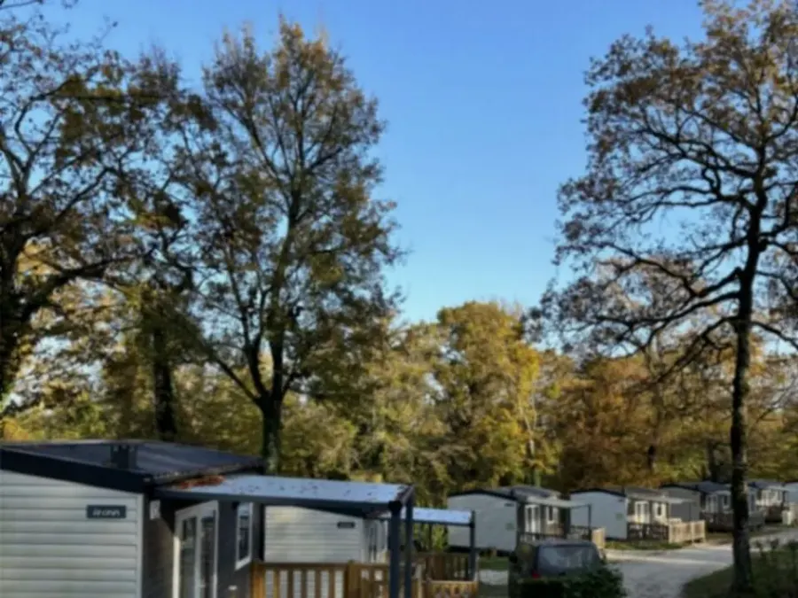 Camping De La Forêt – FRANKRIJK – foto 3