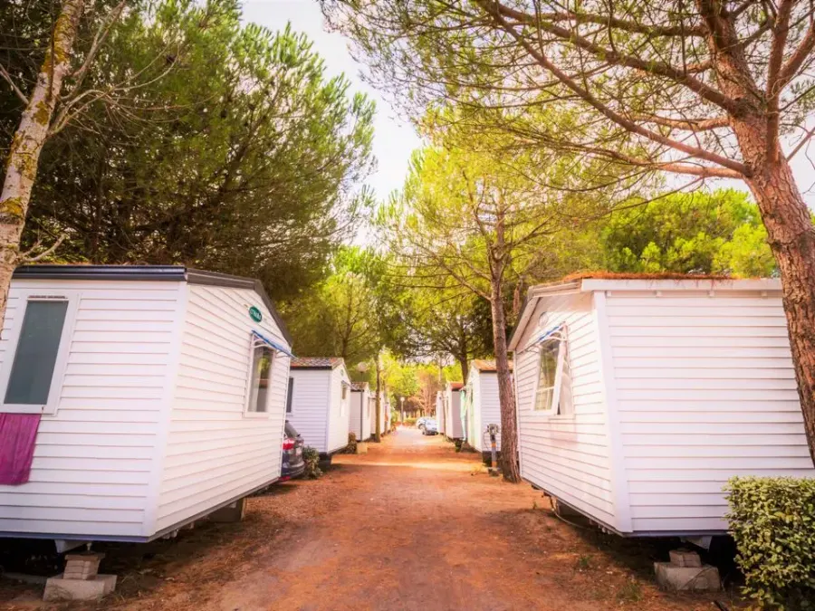 Camping Le Roucan West – FRANKRIJK – foto 2