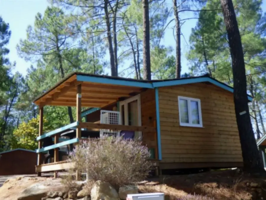 Camping Paradis - Bois Simonet – FRANKRIJK – foto 1