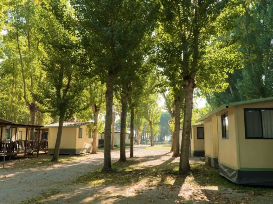 Camping Punta Navaccia – Italië – foto 5