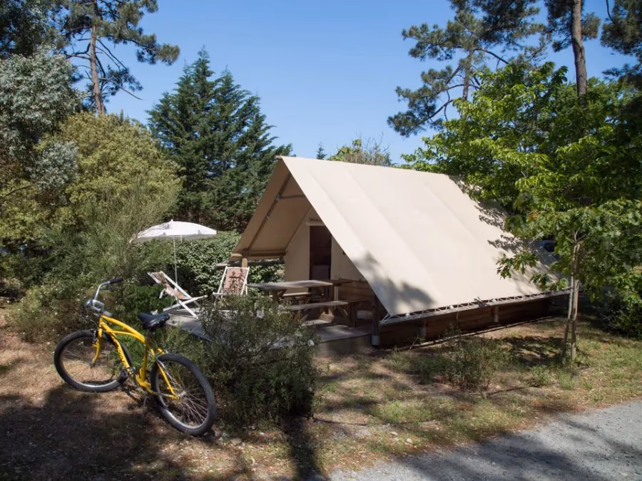 Camping des Pins - Camping Paradis – FRANKRIJK