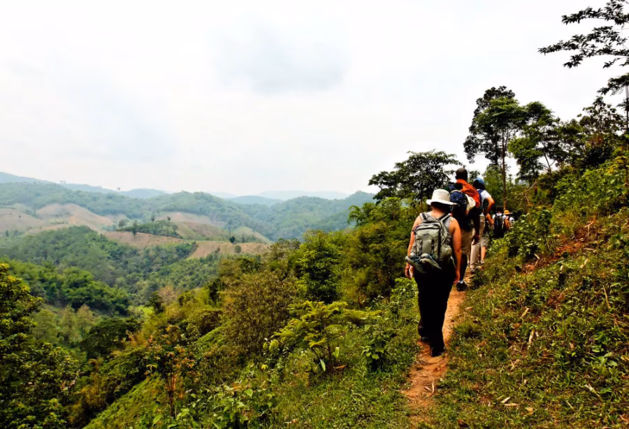 Chiang Mai Jungle Trekking – Thailand
