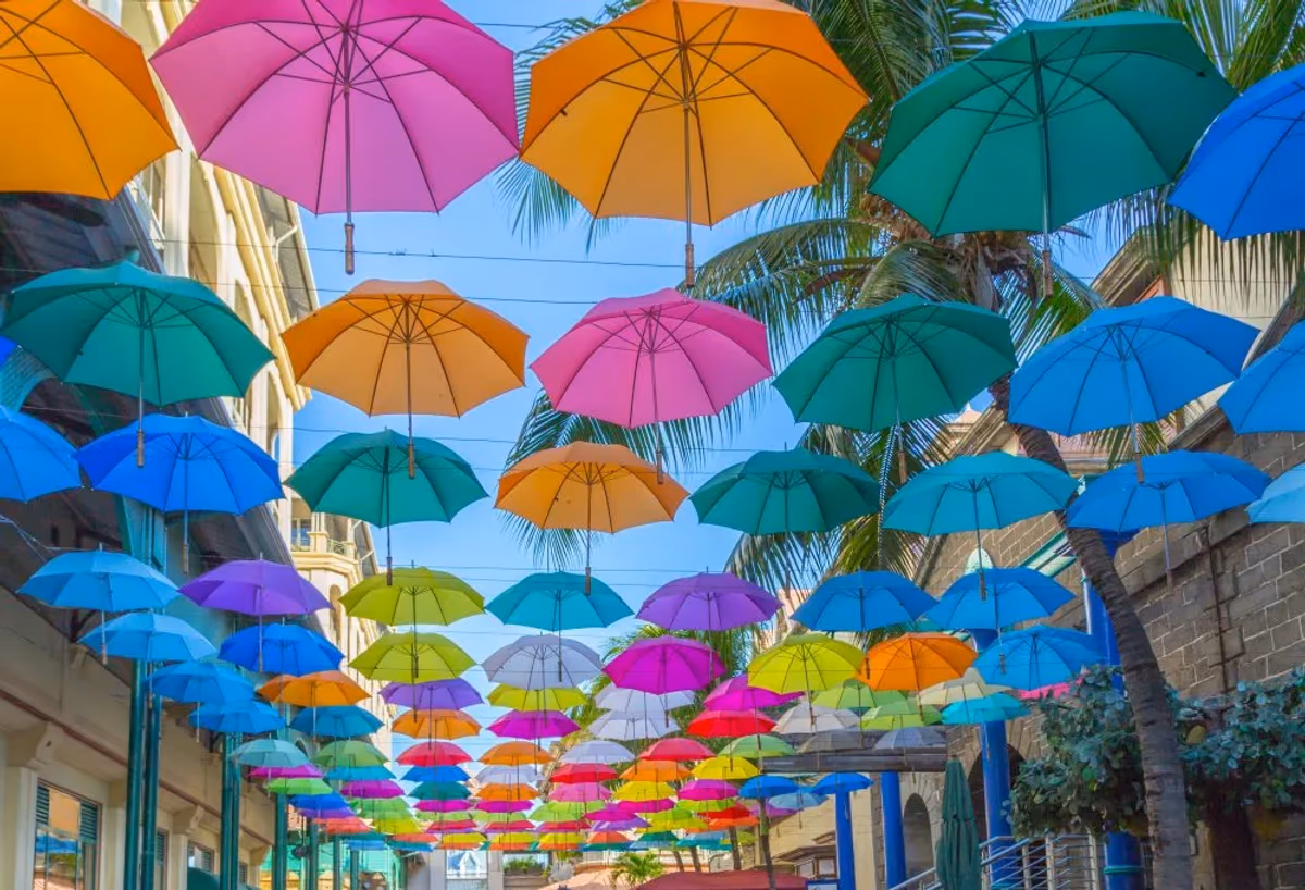 Creole Delight - Ontdek de smaken van Mauritius