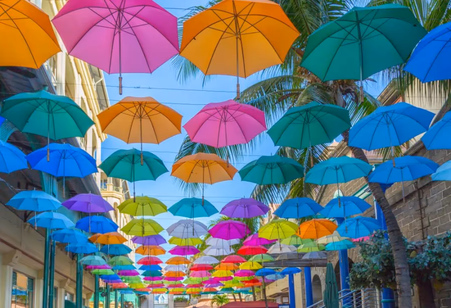 Creole Delight - Ontdek de smaken van Mauritius – Mauritius
