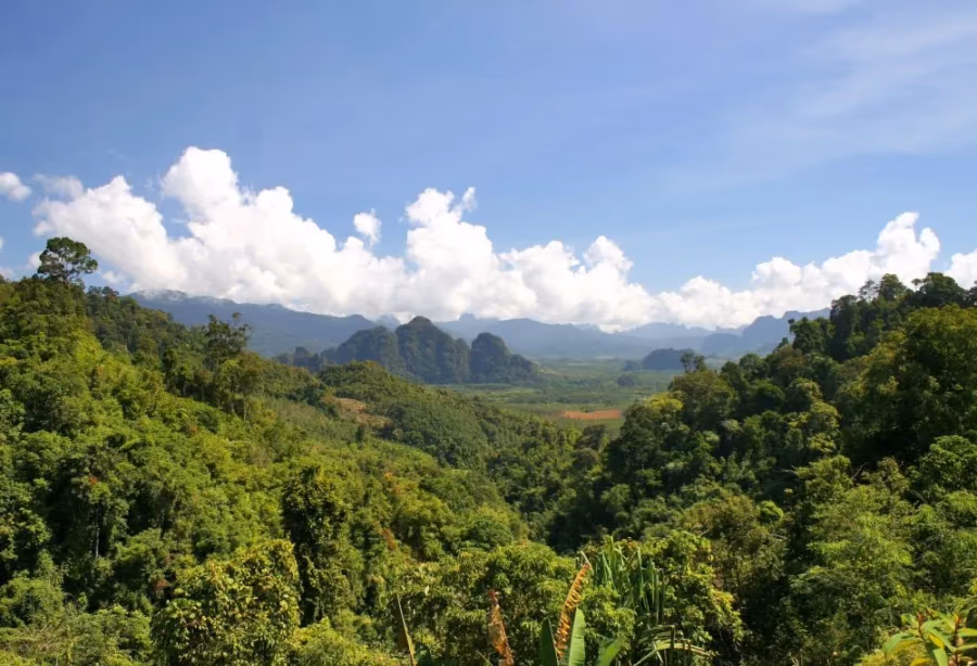 Cultuur en Jungle van Thailand Deluxe – Thailand