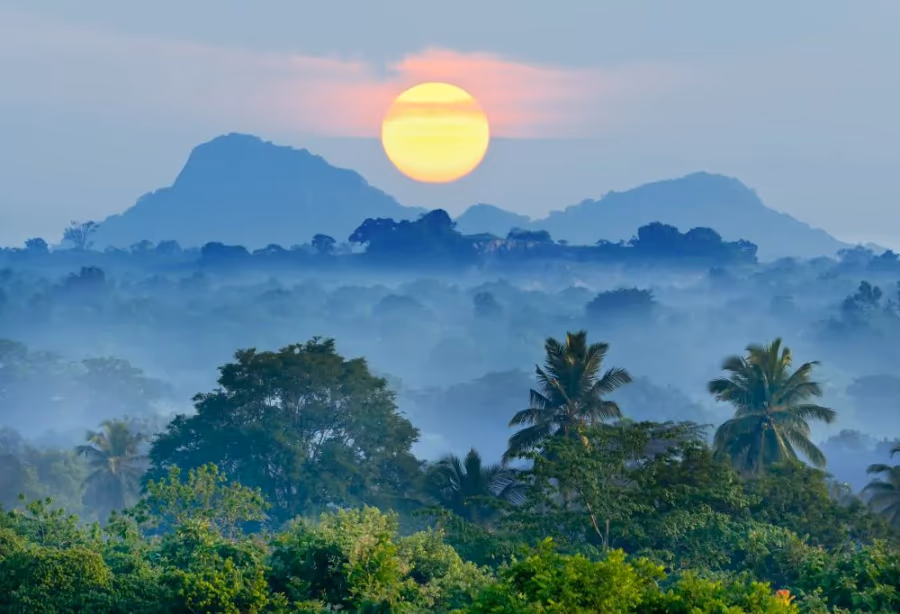 De Jungle van Sri Lanka – Sri Lanka