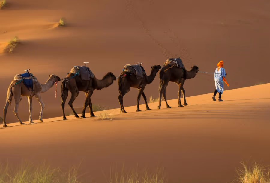 De Koningssteden & Sahara van Marokko – Marokko
