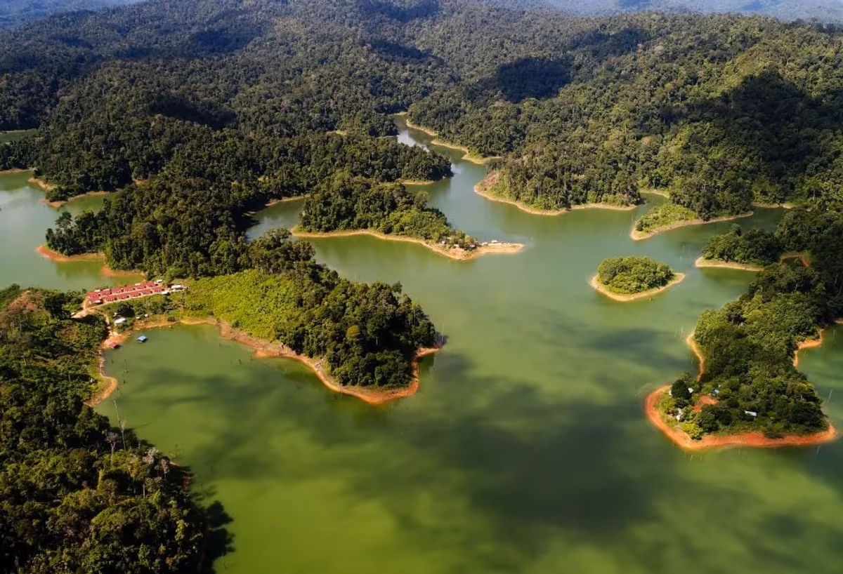De natuur van Belum Rainforest