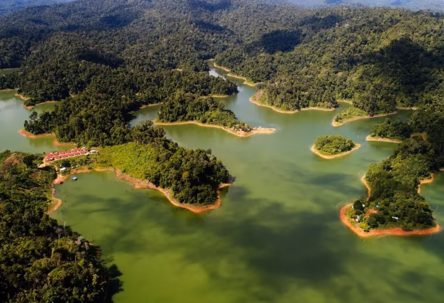 De natuur van Belum Rainforest – Maleisië