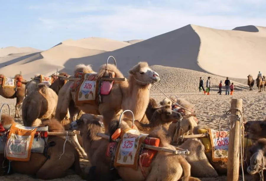 De Zijderoute van Marco Polo – China