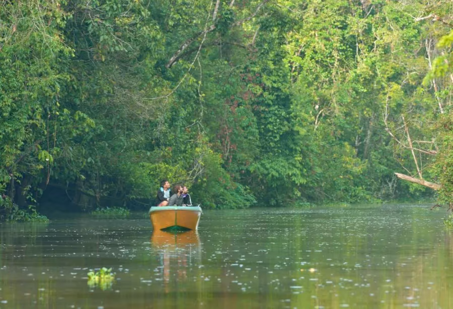 Discover Sabah's jungle en West-Maleisië – Maleisië