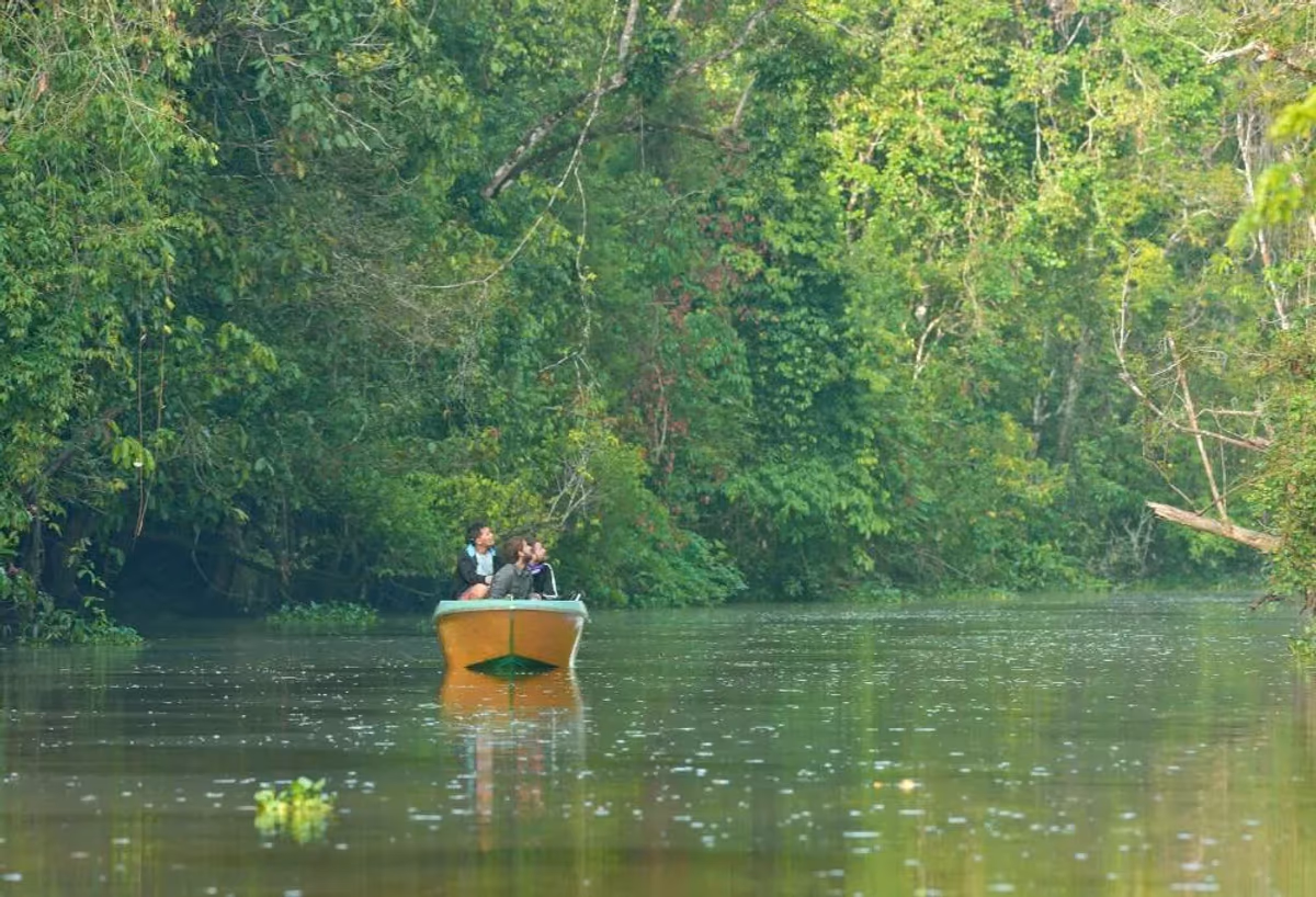 Discover Sabah's jungle en West-Maleisië