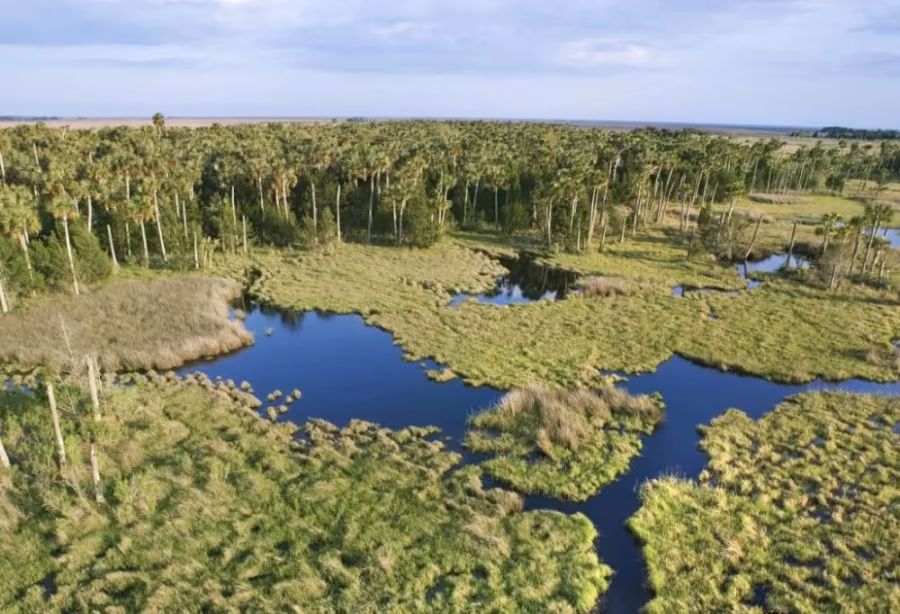 Everglades Safari Park Tour plus airboat tocht – Amerika