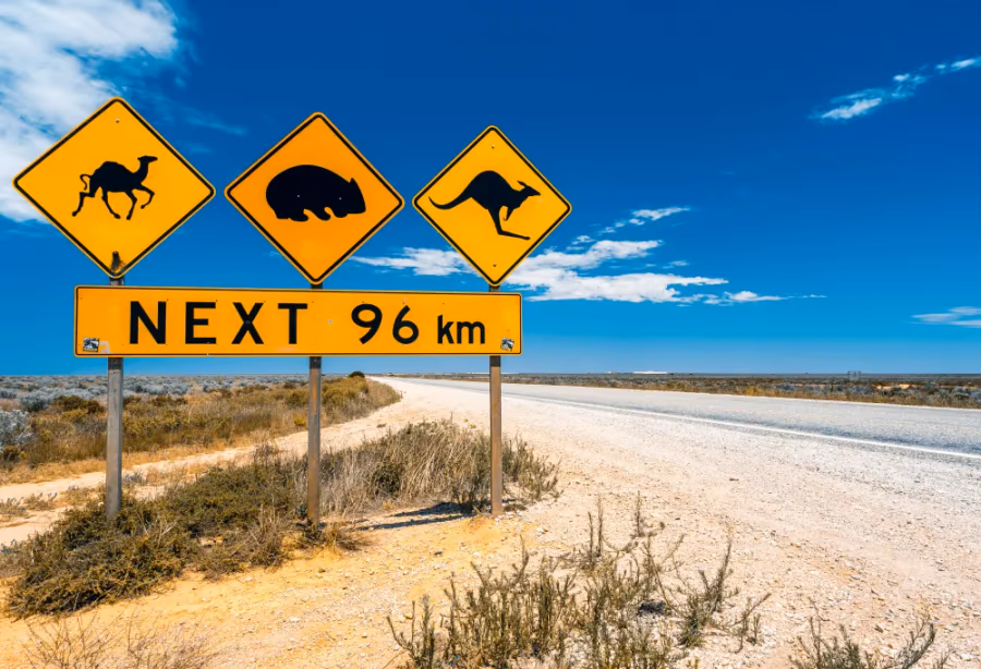 Grand Tour Australië – Australie