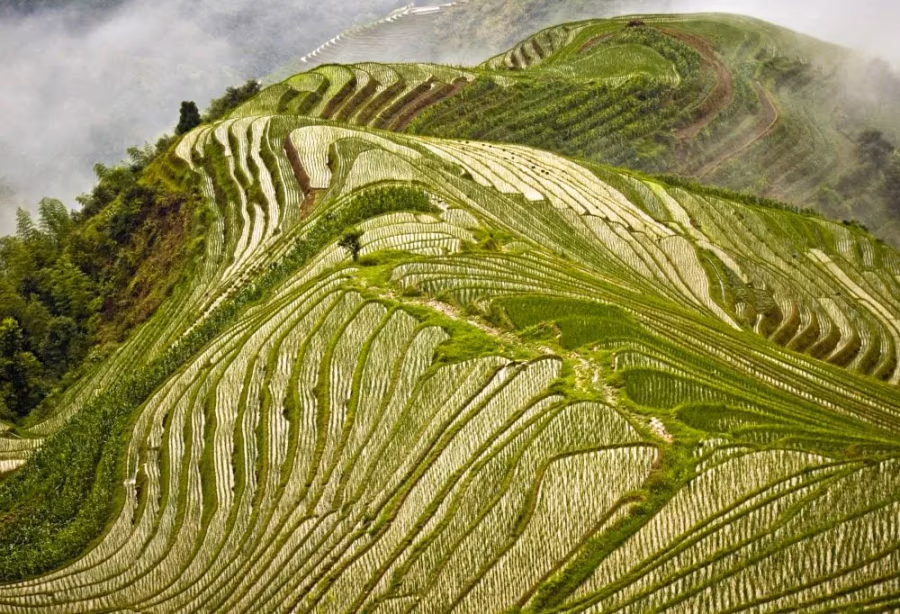 Grand Tour China – China