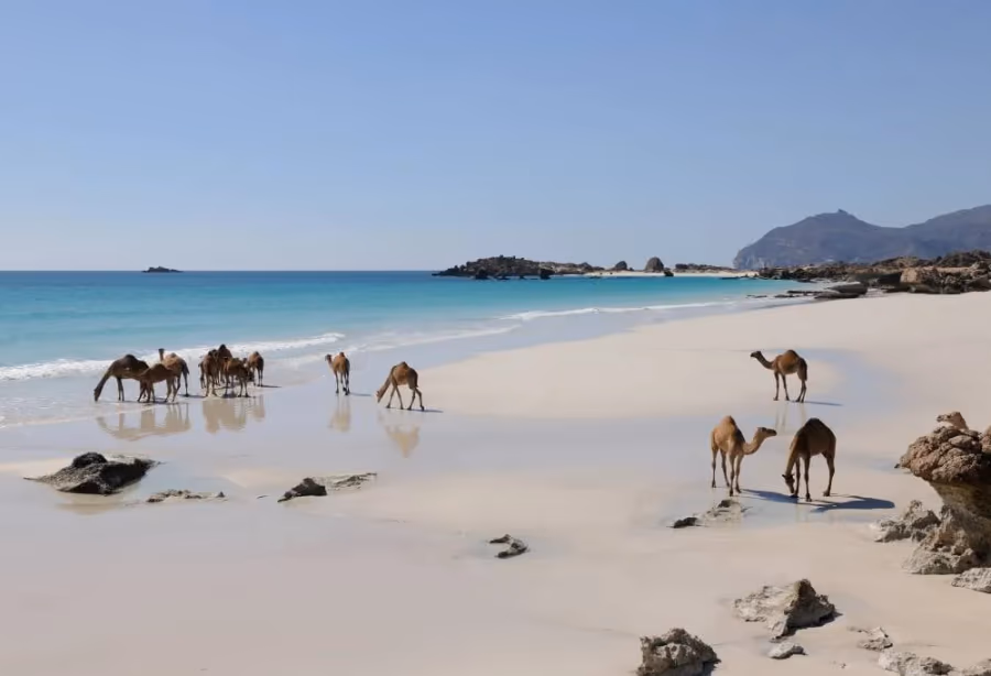 Grand Tour Oman – Oman