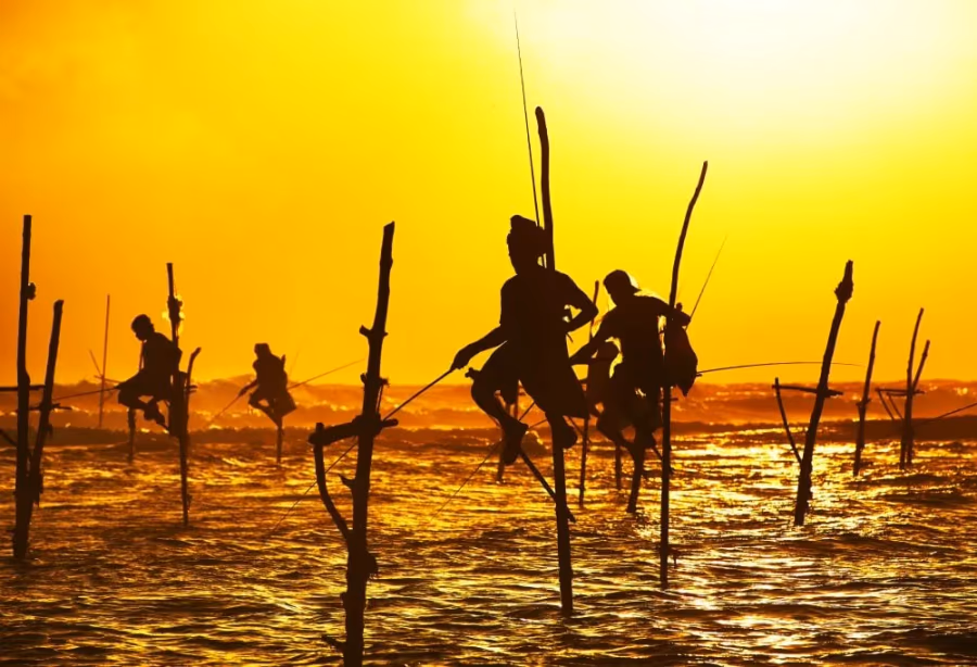 Grand Tour Sri Lanka Deluxe – Sri Lanka