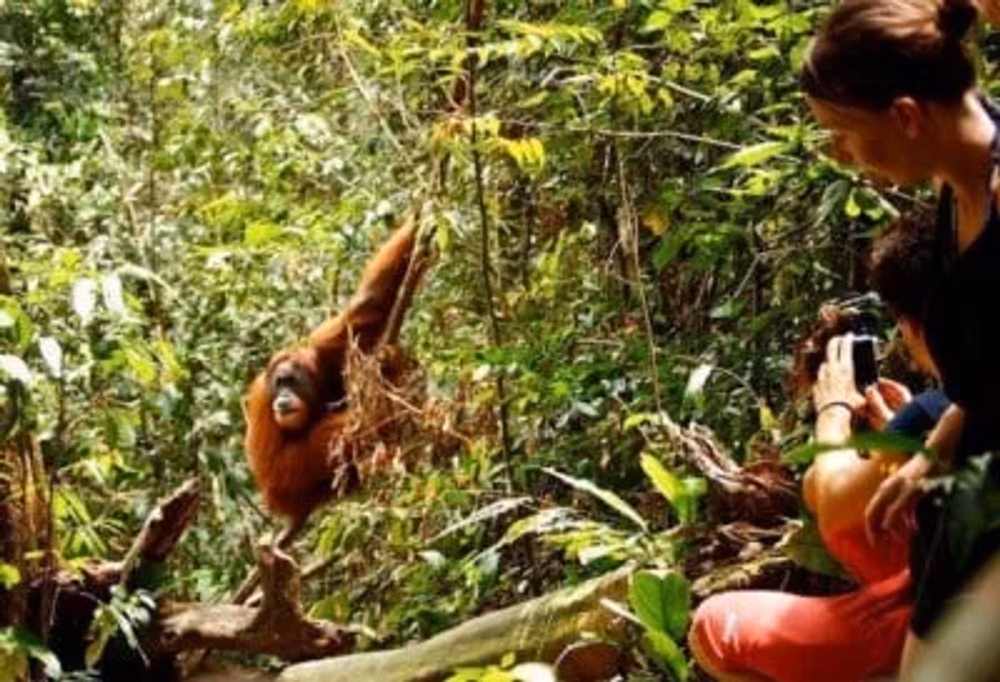 Grand Tour Sumatra, Java en Bali – vakantie Indonesië