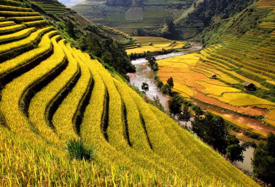 Grand Tour Vietnam Deluxe – Vietnam