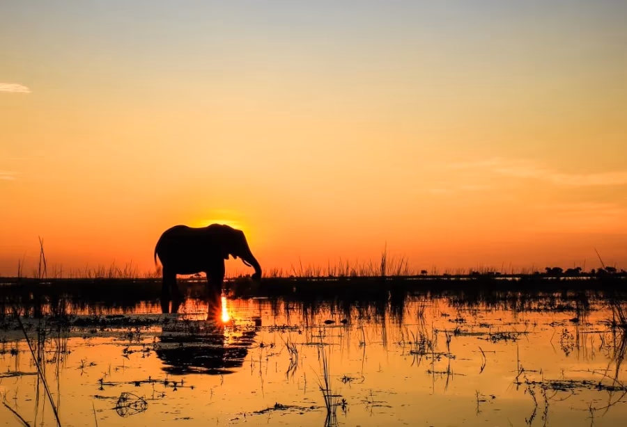 Grand Tour Zuid-Afrika, Swaziland en Lesotho – Zuid Afrika