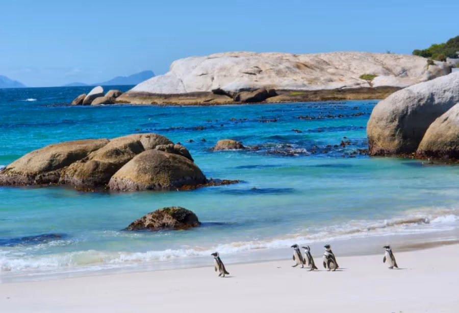 Grand Tour Zuid-Afrika Deluxe – Zuid Afrika