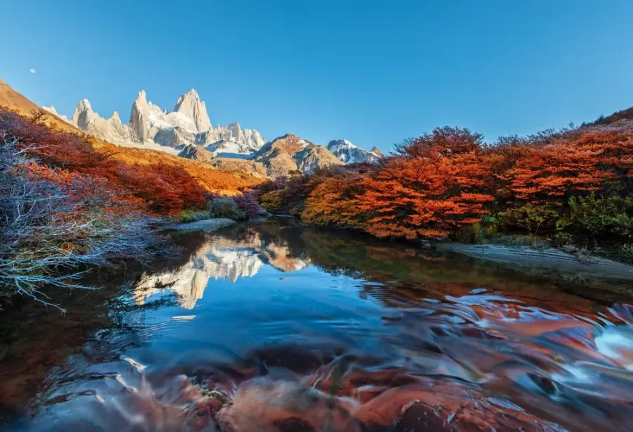 Highlights Vuurland en Gletsjers van Patagonië – Argentinië – foto 1