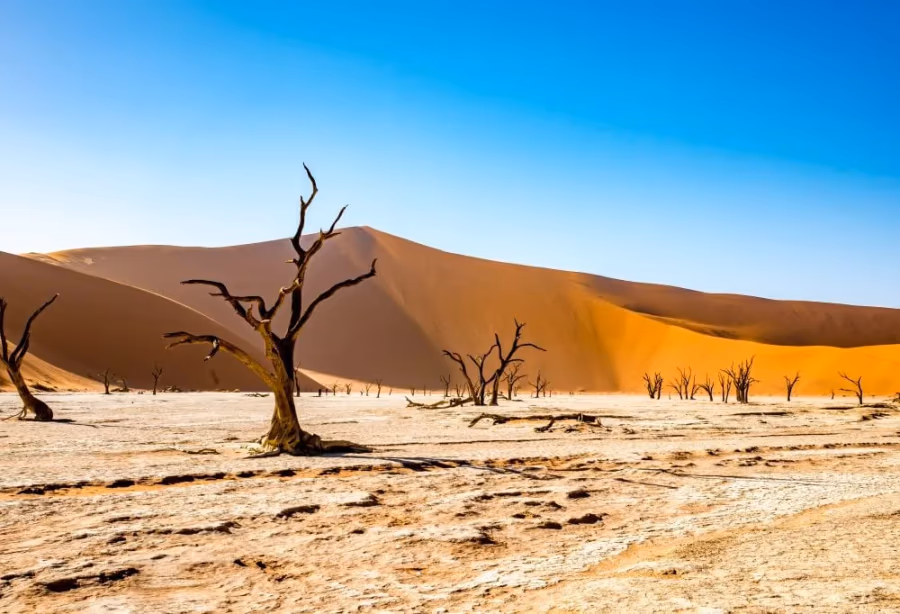 Highlights Avontuurlijk Namibië Deluxe – Namibië