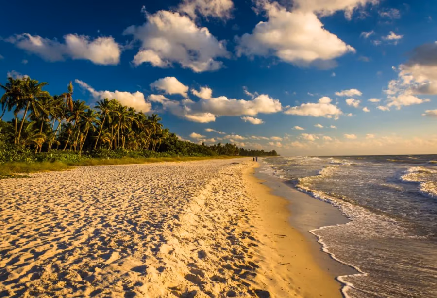 Highlights Florida – Amerika