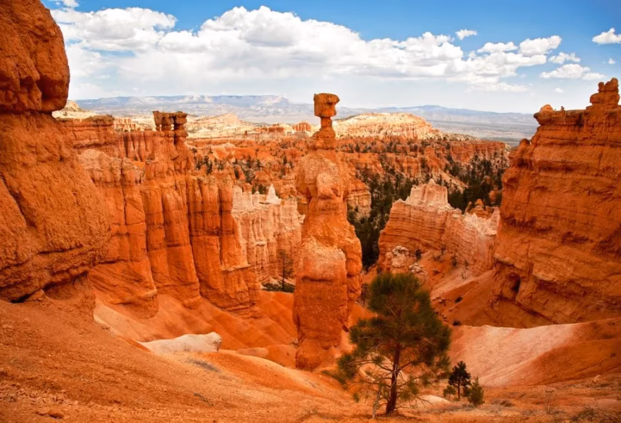 Highlights of the Wild West – Amerika