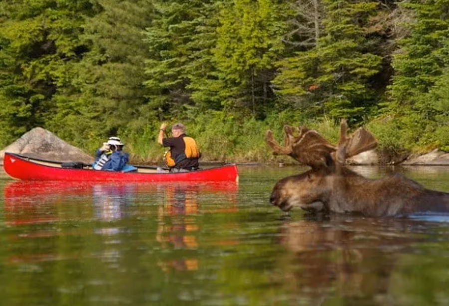 Highlights Oost-Canada – Canada