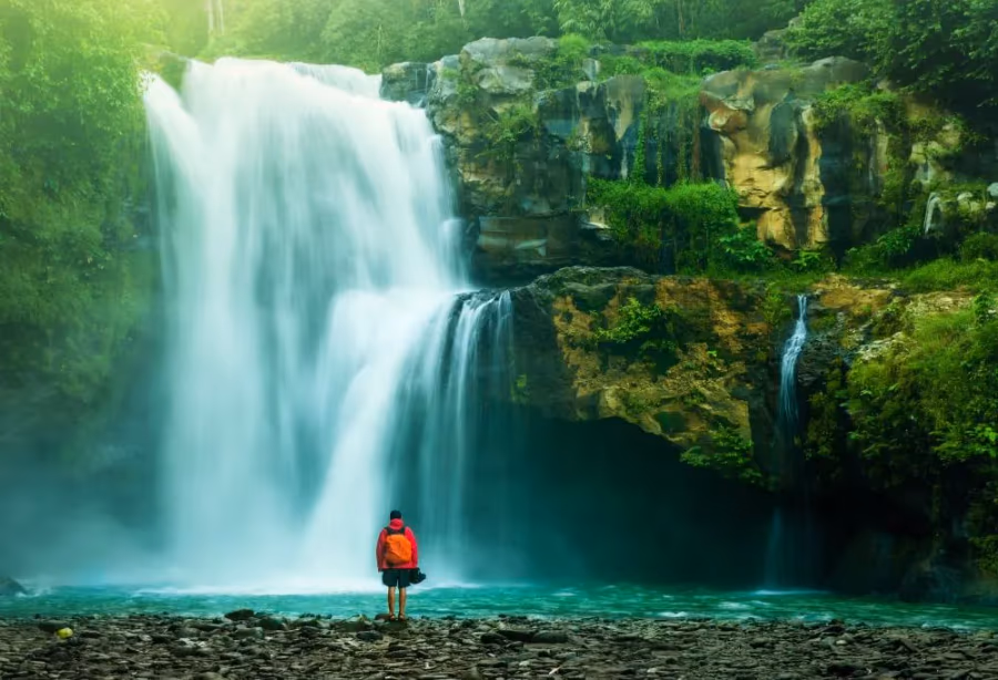Highlights Puur Costa Rica – Costa Rica