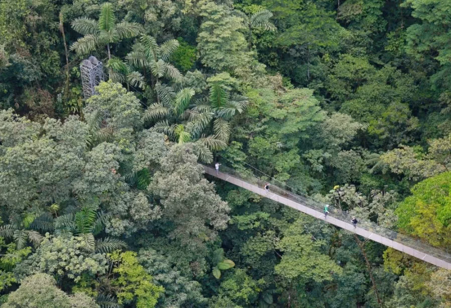 Highlights Puur Costa Rica en Panama – Costa Rica